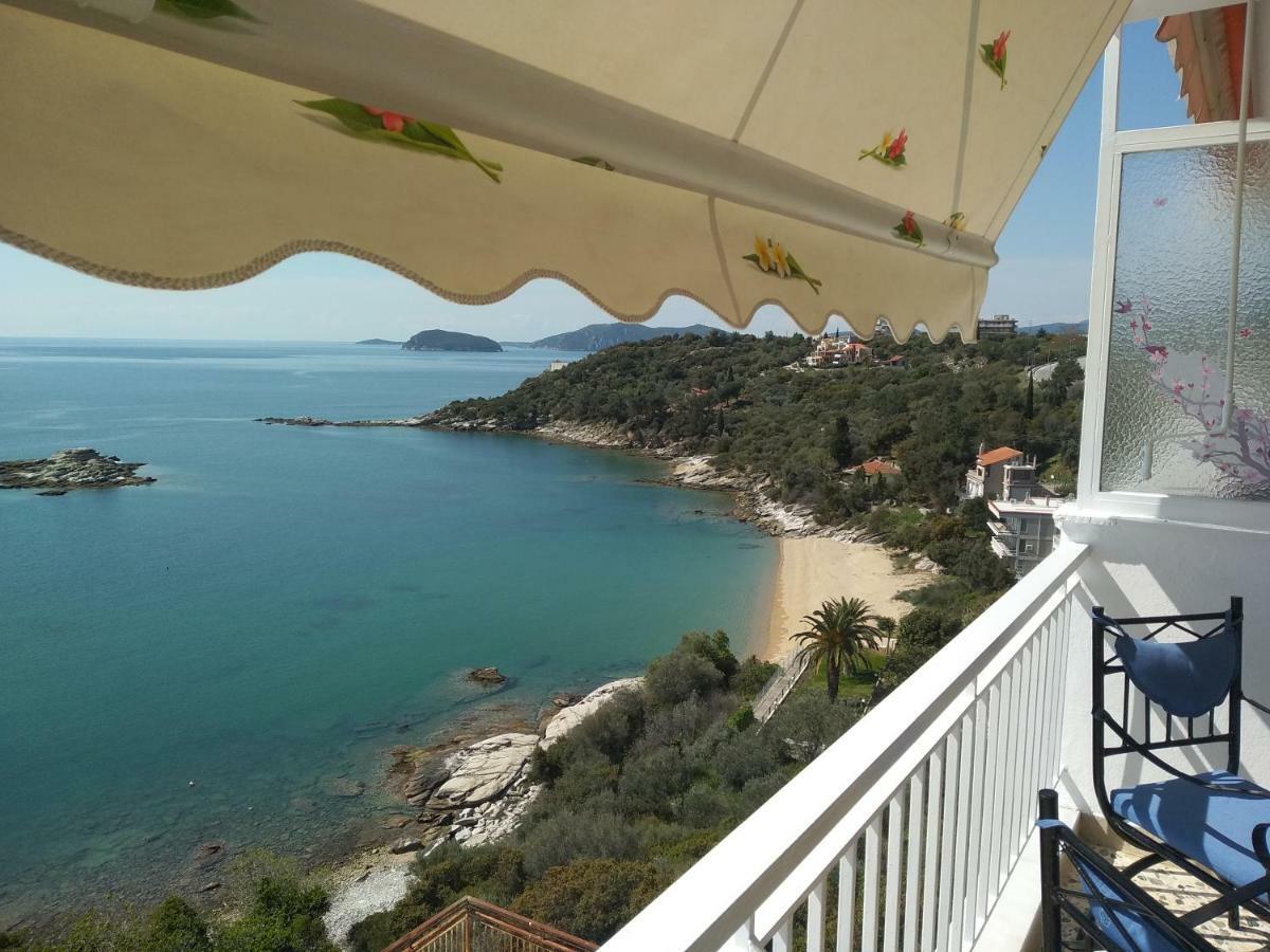 PalaiónTsiflíkion Absolut View 아파트 외부 사진